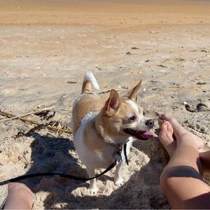 Meet your Posher, Lilly